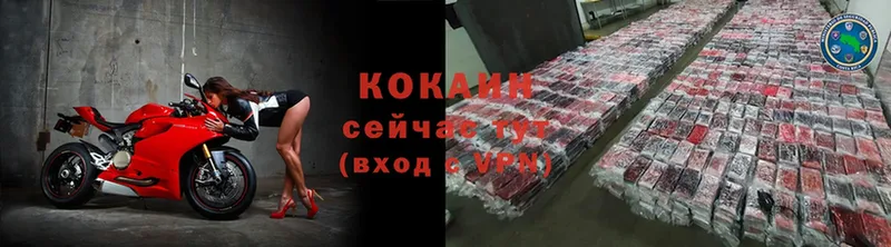 COCAIN Эквадор  мега как зайти  Киржач 