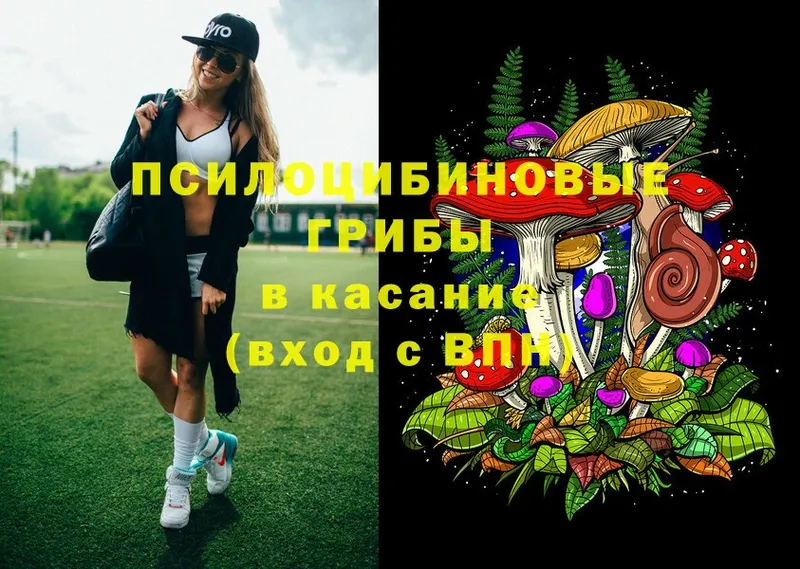 Галлюциногенные грибы Magic Shrooms  мега как зайти  Киржач 